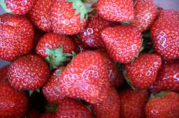 Strawberry Fruit Textures
